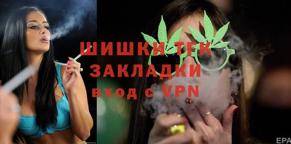 стаф Болотное