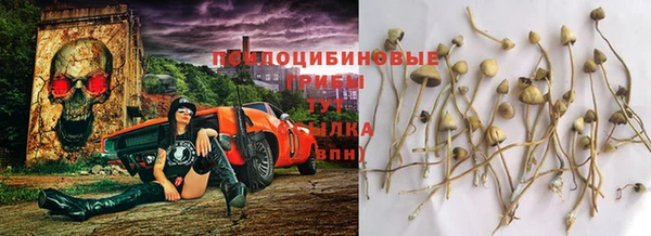 амф Новодвинск