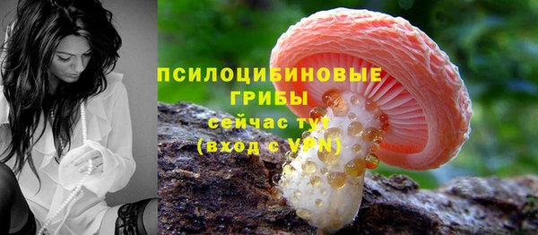 амф Новодвинск