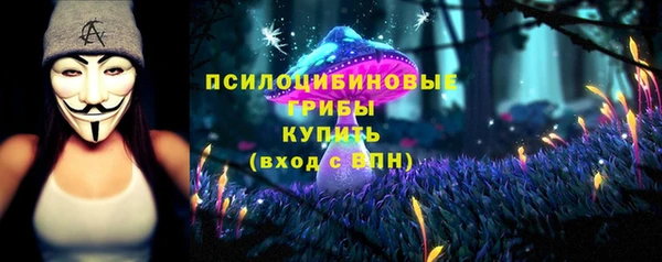 альфа пвп Новокубанск