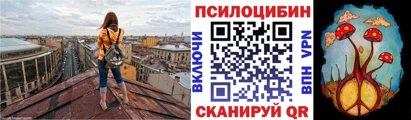 продажа наркотиков  Приморско-Ахтарск  hydra ССЫЛКА  Псилоцибиновые грибы Psilocybine cubensis 