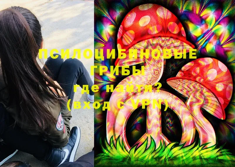 Псилоцибиновые грибы Psilocybe  Приморско-Ахтарск 