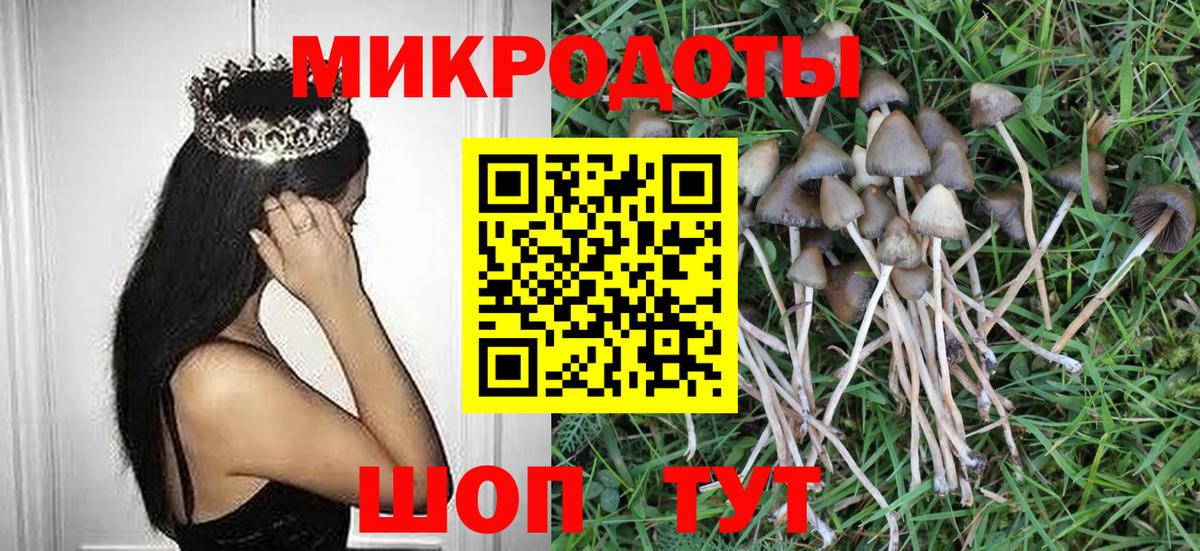 Псилоцибиновые грибы Cubensis Приморско-Ахтарск
